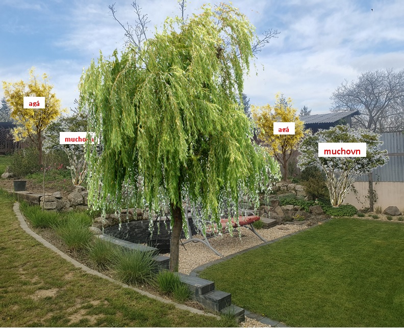 Referencia 5 – Návrh zátišia